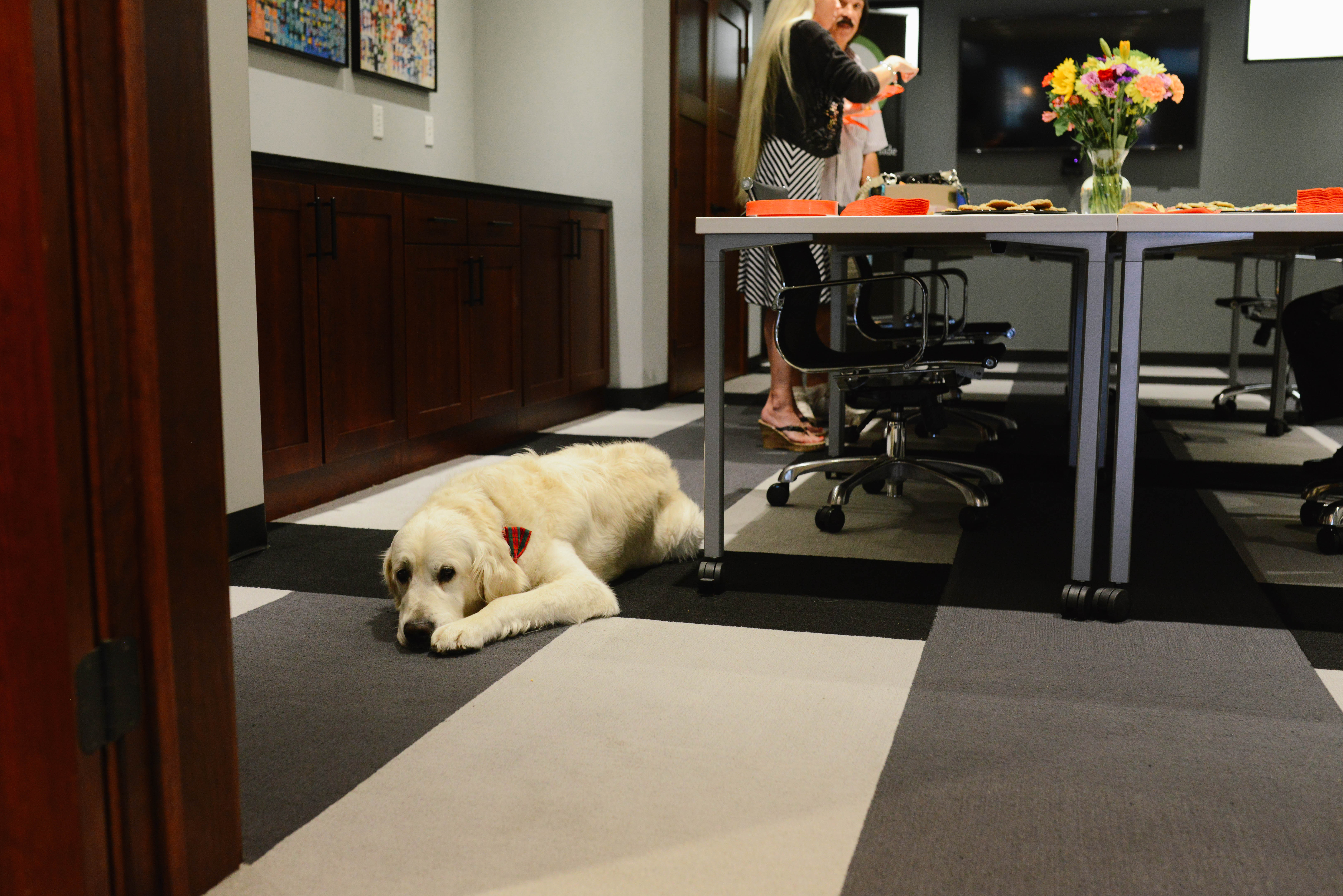 Brinkley at Collaborate DSM